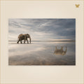 The Elephant Whose Reflection Went Ahead — éléphant marchant sur une eau peu profonde avec son reflet décalé devant lui — format 100 × 70 cm