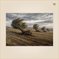 The Trees That Followed the Wind — arbres ordinaires déracinés migrant lentement sur un plateau balayé par le vent — format 100 × 70 cm