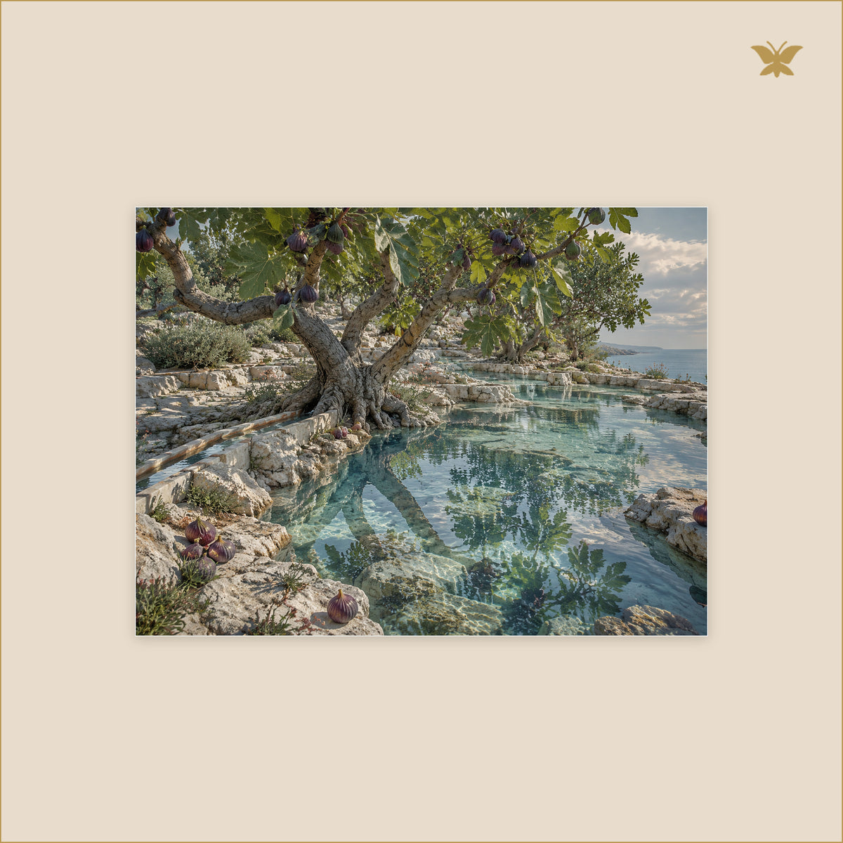 The Fig Orchard at Glass Tide — petit format 40 × 30 cm